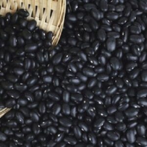 Bulk Dried Black kidney beans