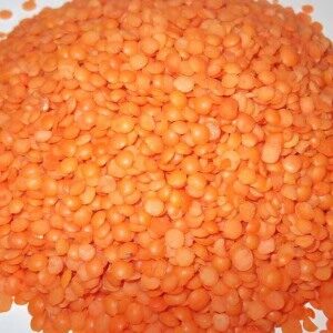 Red Lentil