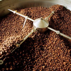 Roasted Cocoa Beans