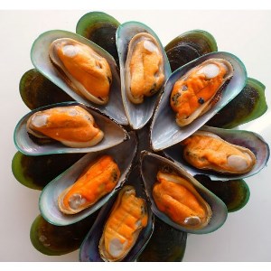 half shell mussel
