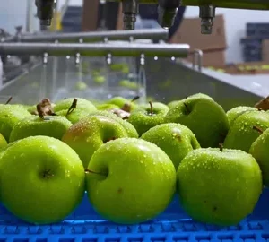 Green Apples